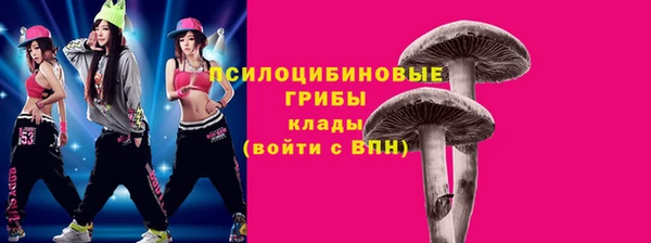 apvp Пролетарск