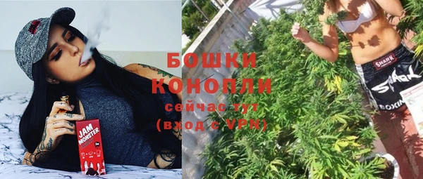 apvp Протвино