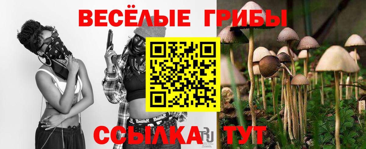 Галлюциногенные грибы ЛСД Бузулук